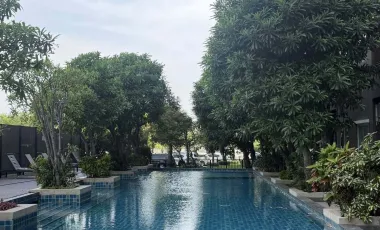 The Parkland Lite Sukhumvit - Paknam : for sell