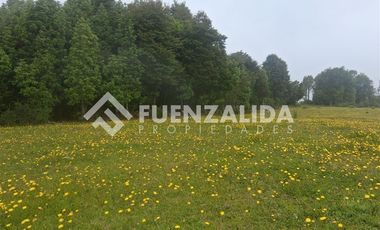 Sitio en Venta en Provincia LLanquihue/ Los Muermos
