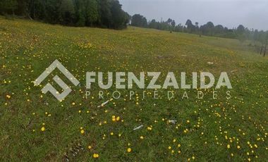 Sitio en Venta en Provincia LLanquihue/ Los Muermos