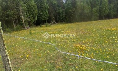Agrícola en Venta en Provincia LLanquihue/ Los Muermos
