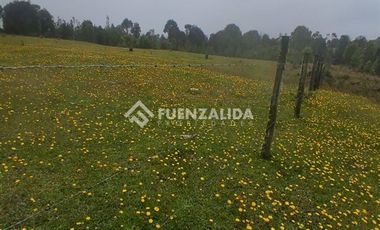 Agrícola en Venta en Provincia LLanquihue/ Los Muermos