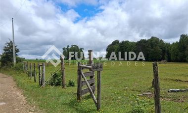 Agrícola en Venta en Provincia LLanquihue/ Los Muermos
