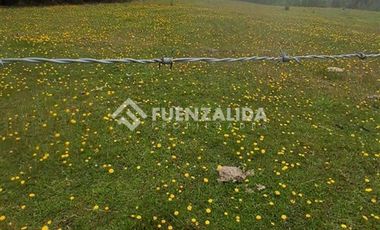Agrícola en Venta en Provincia LLanquihue/ Los Muermos