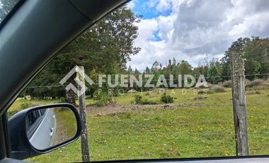 Agrícola en Venta en Provincia LLanquihue/ Los Muermos