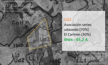 Chacra en Venta de 34 has en Lezama. Ideal para Producir y Disfrutar