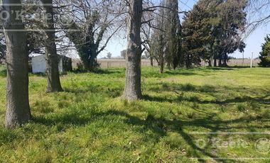 Chacra en Venta de 34 has en Lezama. Ideal para Producir y Disfrutar