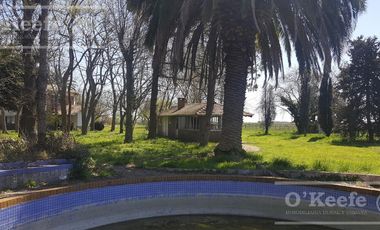 Chacra en Venta de 34 has en Lezama. Ideal para Producir y Disfrutar
