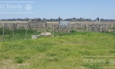 Chacra en Venta de 34 has en Lezama. Ideal para Producir y Disfrutar