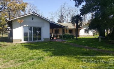 Chacra en Venta de 34 has en Lezama. Ideal para Producir y Disfrutar