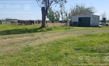 Chacra en Venta de 34 has en Lezama. Ideal para Producir y Disfrutar