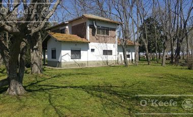 Chacra en Venta de 34 has en Lezama. Ideal para Producir y Disfrutar