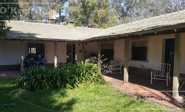 Chacra en Venta de 34 has en Lezama. Ideal para Producir y Disfrutar