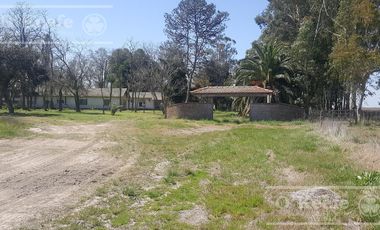 Chacra en Venta de 34 has en Lezama. Ideal para Producir y Disfrutar