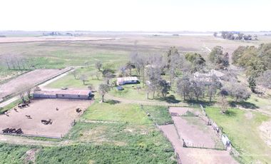 Chacra en Venta de 34 has en Lezama. Ideal para Producir y Disfrutar