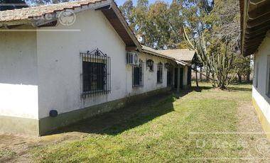 Chacra en Venta de 34 has en Lezama. Ideal para Producir y Disfrutar
