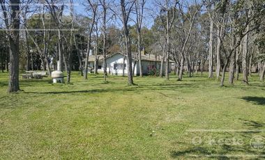 Chacra en Venta de 34 has en Lezama. Ideal para Producir y Disfrutar