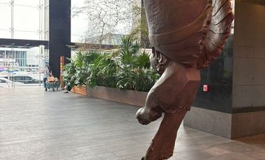 DEPARTAMENTO EN RENTA AMUEBLADO LOBBY 33, ZAPOPAN JALISCO, PUERTA DE HIERRO