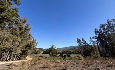 Sitio en Venta en Playa Llico