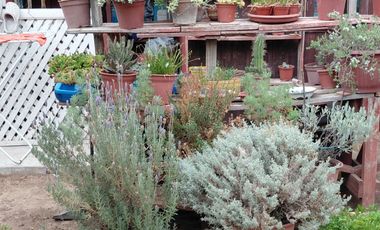 AMPLIA Y FAMILIAR CASA EN VENTA, COMUNA DE MARCHIGUE