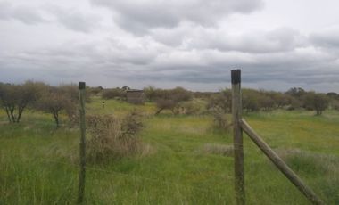 CAUQUENES