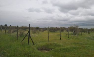 CAUQUENES