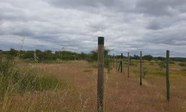 CAUQUENES