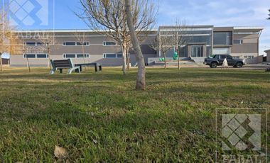 Galpón Nave Industrial en Centenario, de 2.311 m2 con oficinas, sobre lote de 7.560 m2