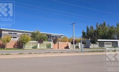 Galpón Nave Industrial en Centenario, de 2.311 m2 con oficinas, sobre lote de 7.560 m2