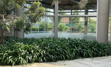 Renta departamento Condominio Lo Alto Bosque Real
