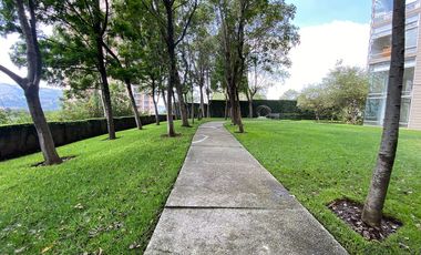Renta departamento Condominio Lo Alto Bosque Real