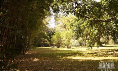 TERRENO EN SUMIYA