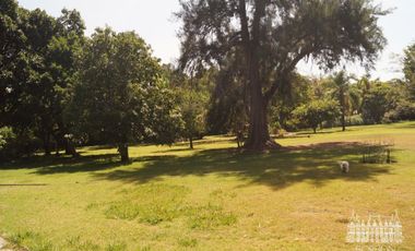 TERRENO EN SUMIYA