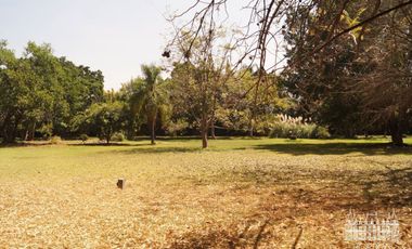 TERRENO EN SUMIYA