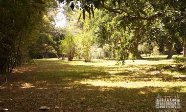 TERRENO EN SUMIYA
