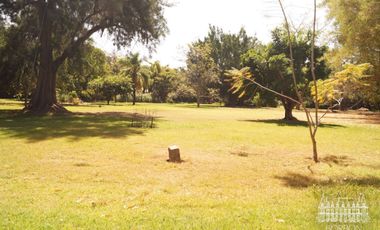 TERRENO EN SUMIYA