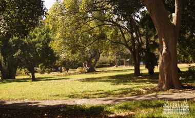 TERRENO EN SUMIYA