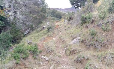 Parcela en venta  en RÍO IBAÑEZ