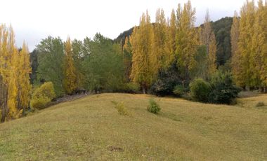 Parcela en venta  en RÍO IBAÑEZ