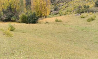 Parcela en venta  en RÍO IBAÑEZ