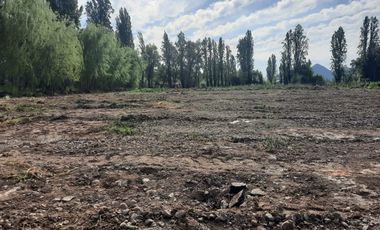 Agrícola en Arriendo en La Posada