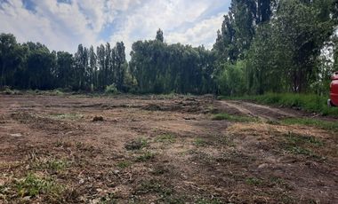 Agrícola en Arriendo en La Posada