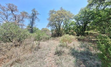 Terreno en Venta Haras del Bosque 4 Hectáreas para Desarrollo