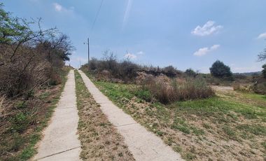Terreno en Venta Haras del Bosque 4 Hectáreas para Desarrollo