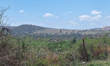 Terreno en Venta Haras del Bosque 4 Hectáreas para Desarrollo