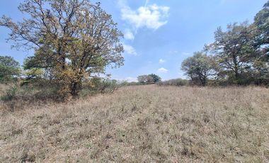 Terreno en Venta Haras del Bosque 4 Hectáreas para Desarrollo