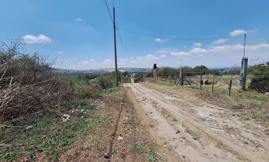Terreno en Venta Haras del Bosque 4 Hectáreas para Desarrollo