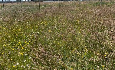 ARRIENDO SITIOS  SECTOR BARRO BLANCO