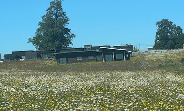ARRIENDO SITIOS  SECTOR BARRO BLANCO