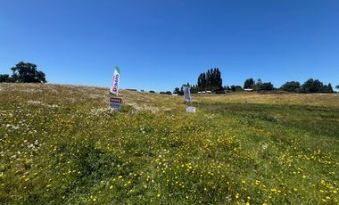ARRIENDO SITIOS  SECTOR BARRO BLANCO