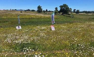 ARRIENDO SITIOS  SECTOR BARRO BLANCO